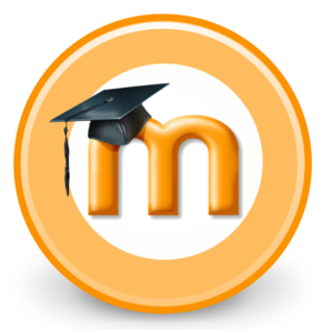 Mega Capacitación